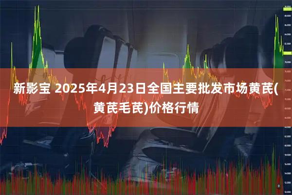 新影宝 2025年4月23日全国主要批发市场黄芪(黄芪毛芪)价格行情