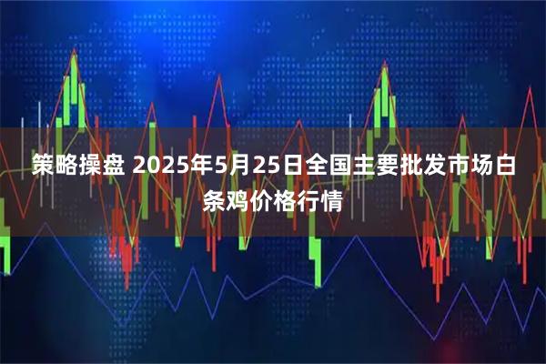策略操盘 2025年5月25日全国主要批发市场白条鸡价格行情