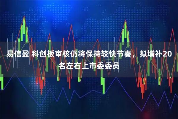 易信盈 科创板审核仍将保持较快节奏，拟增补20名左右上市委委员