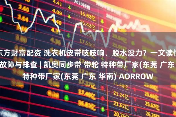 东方财富配资 洗衣机皮带吱吱响、脱水没力？一文读懂多楔带10大常见故障与排查 | 凯奥同步带 带轮 特种带厂家(东莞 广东 华南) AORROW